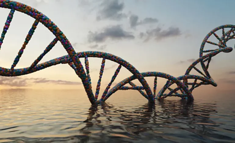 DNA as a "time machine"