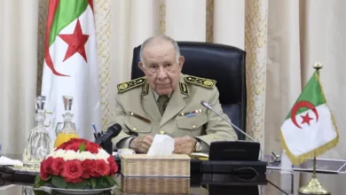 Algerian-Russian military cooperation