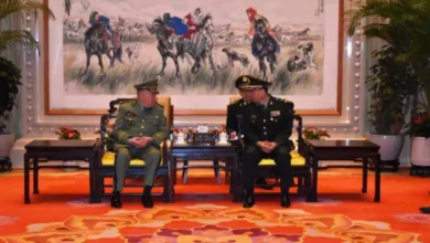 Algerian and Chinese Defense Leaders Discuss