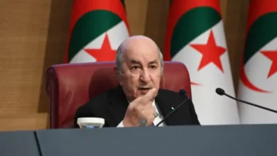 President Tebboune's Governance in Algeria