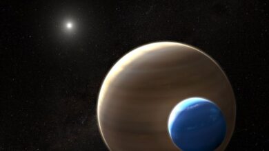 Binary Planetary Systems and Extraterrestrial Life