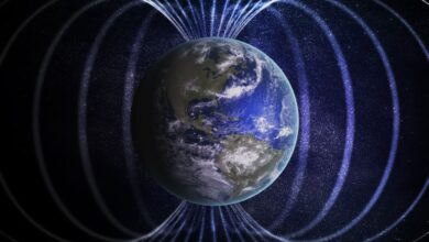 Earth's Magnetic Poles