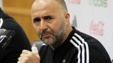 Jamal Belmadi Highest-Paid Coach AFCON Côte d'Ivoire