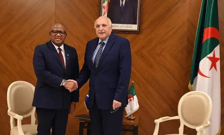 Algeria and South Africa Diplomatic Coordination