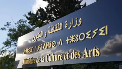 Cultural Project Support for Associations in Algeria 2024