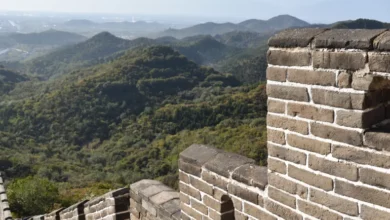 Great Wall of China Bio-crusts