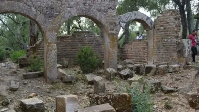 Lalla Fatma Palace El Tarf Protected National Archaeological Site