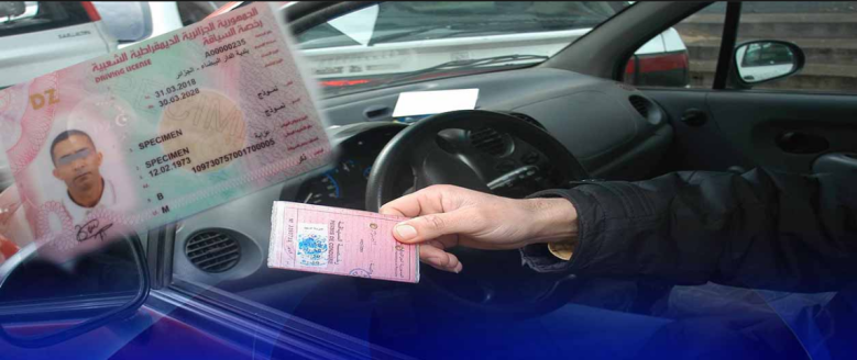 biometric driving licenses