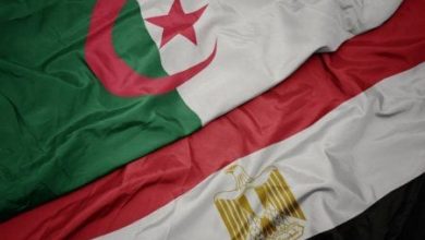 Egyptian Investments in Algeria