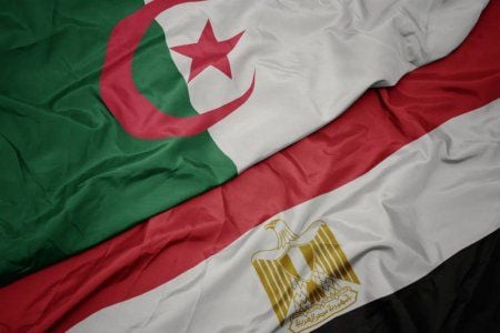 Egyptian Investments in Algeria