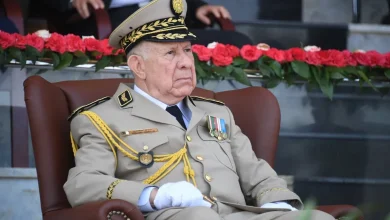 Shangriha praises Algeria's military initiatives to assist neighboring countries