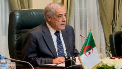 Algerian government projects