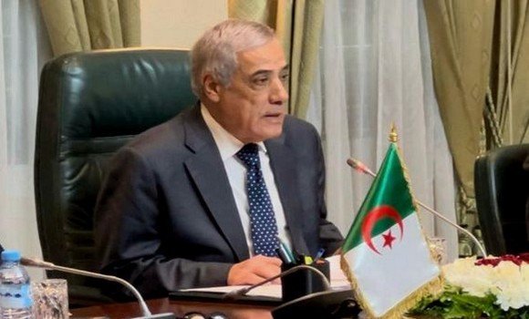 Algerian government projects