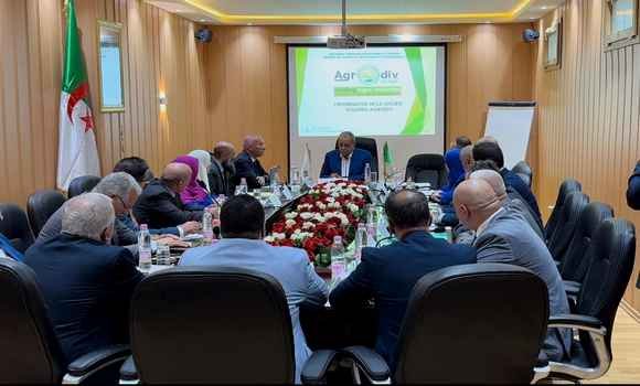 Agrodiv Group, Algeria, Essential Goods Supply, Ali Aoun