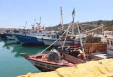 Fishing ban Algeria, biological rest period for fish, sustainable fishing practices