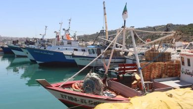 Fishing ban Algeria, biological rest period for fish, sustainable fishing practices