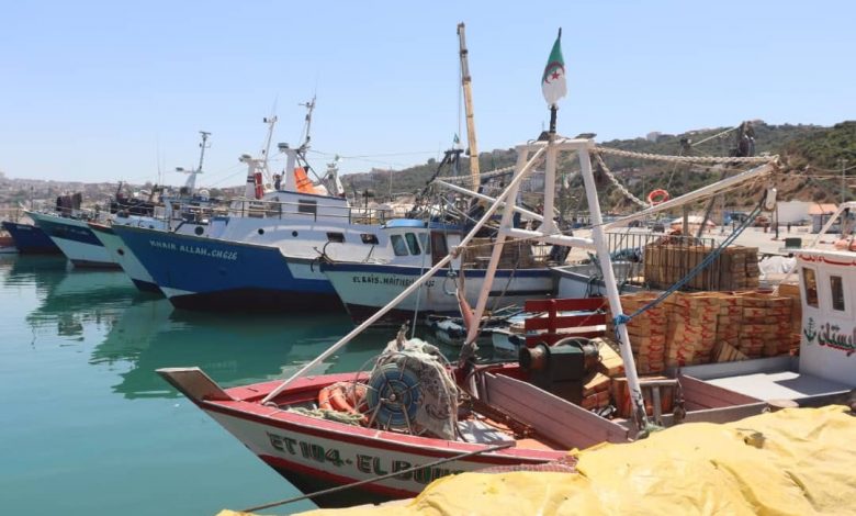 Fishing ban Algeria, biological rest period for fish, sustainable fishing practices