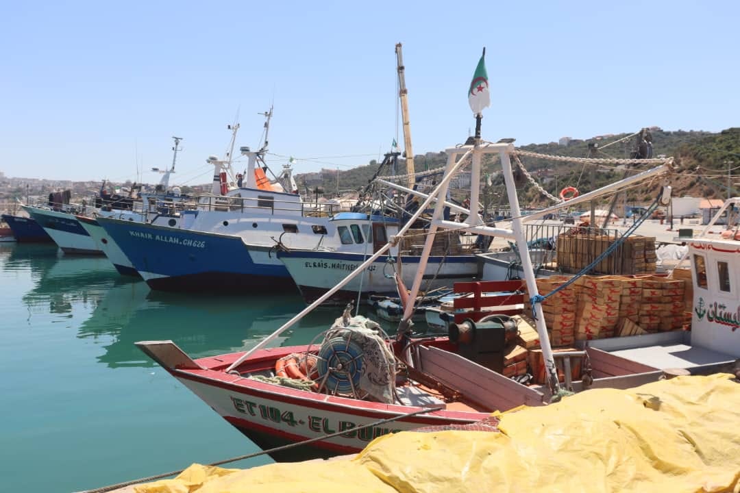 Fishing ban Algeria, biological rest period for fish, sustainable fishing practices