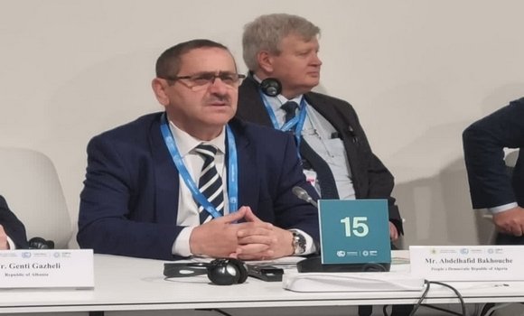 COP29