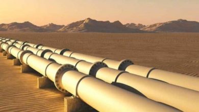 Algeria Strengthens Position as EU's Second Largest Gaseous Natural Gas Supplier