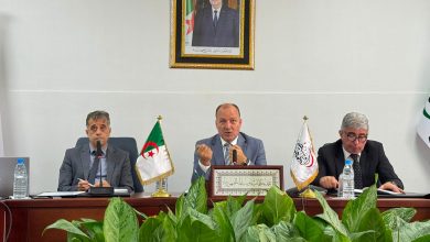 University of Tokyo, Alger 3 Launch AI-Focused Consumer Program