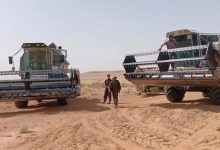 Indigenous Solutions Drive Algeria's Technological Self-Reliance
