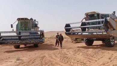 Indigenous Solutions Drive Algeria's Technological Self-Reliance