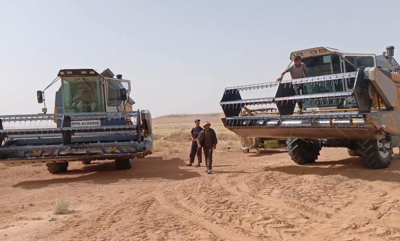 Indigenous Solutions Drive Algeria's Technological Self-Reliance
