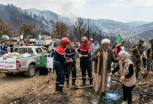 ADE Mobilizes Teams for Jijel Water Restoration After Wildfires