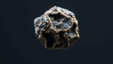 Global Scientists Study 1.27-Billion-Year-Old Algerian Meteorite