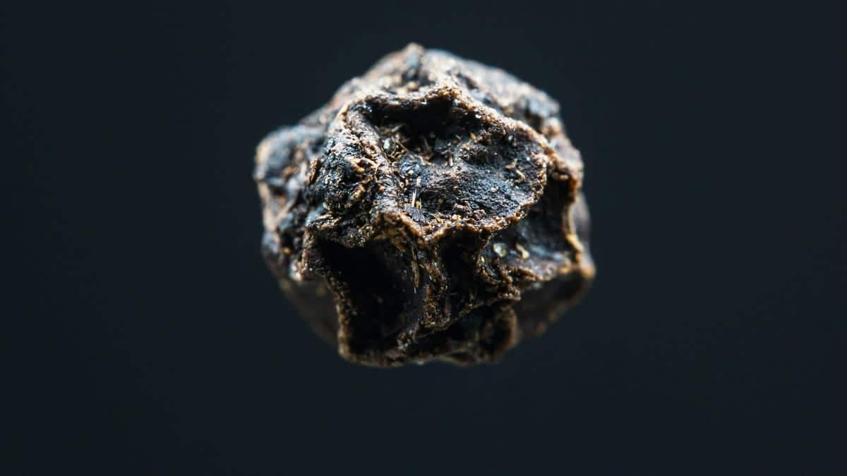 Global Scientists Study 1.27-Billion-Year-Old Algerian Meteorite