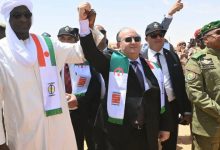 Sonatrach Solidifies African Energy Status with Niger Border Operations