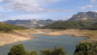 Water Minister Directs 23 Billion Dinar Program Acceleration