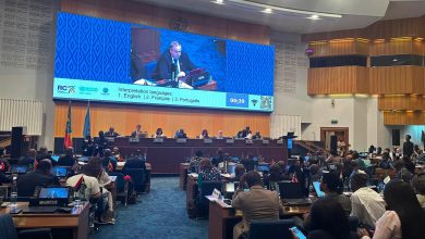 WHO Regional Committee: Algeria Details Health Gains, Pledges African Support