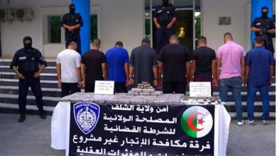 National Security Forces Seize 61 kg of Kif, Arrest Nine
