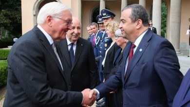 Algiers Hosts German Green Hydrogen, Energy Storage Meeting