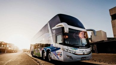 New Public Transport Buses Arrive for Algerian Cities