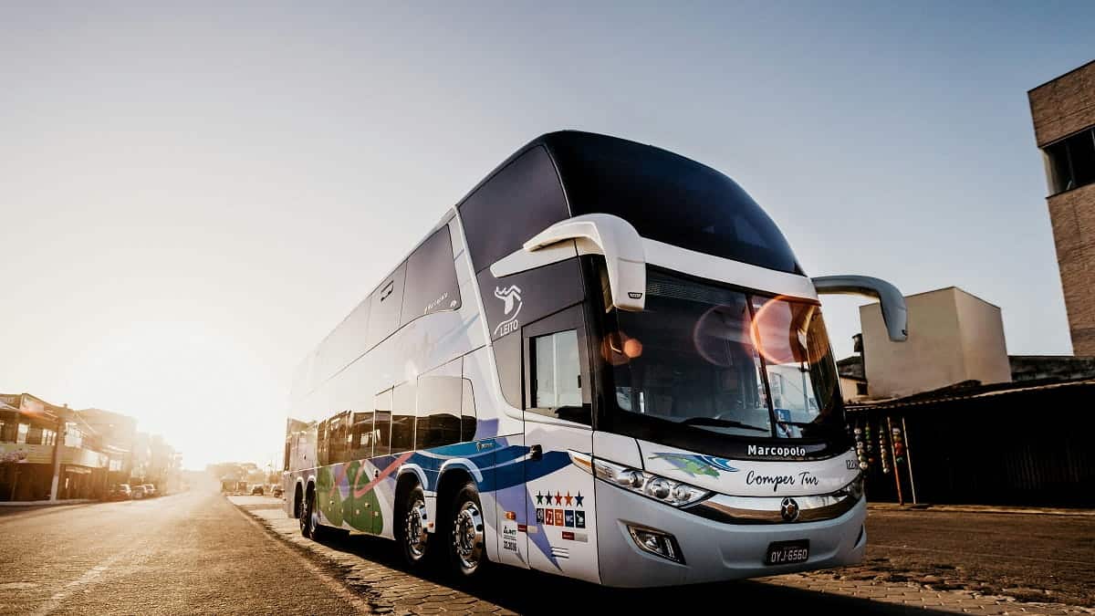 New Public Transport Buses Arrive for Algerian Cities