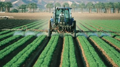 Agri-Tech Companies Visit Algeria for Modernization Deals