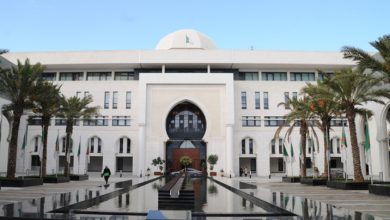 Niamey Events Draw Algeria's Full Solidarity, Firm Support