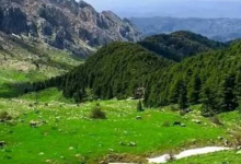 First National Mountain Tourism Day Launched in Tizi Ouzou