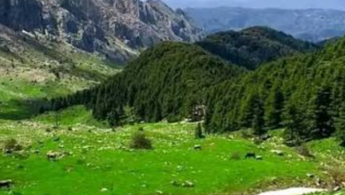 First National Mountain Tourism Day Launched in Tizi Ouzou