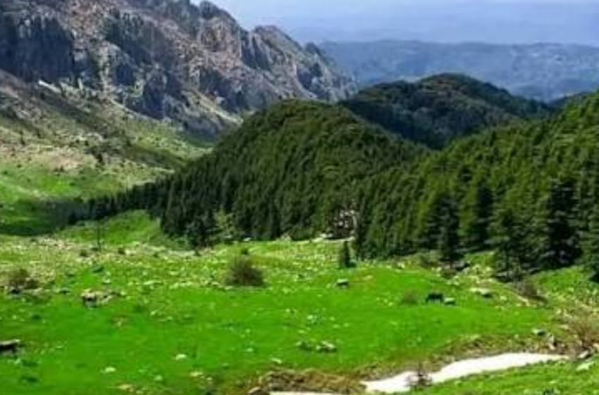 First National Mountain Tourism Day Launched in Tizi Ouzou