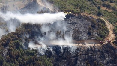 Aircraft Acquisition Enhances Algerian Forest Fire Response