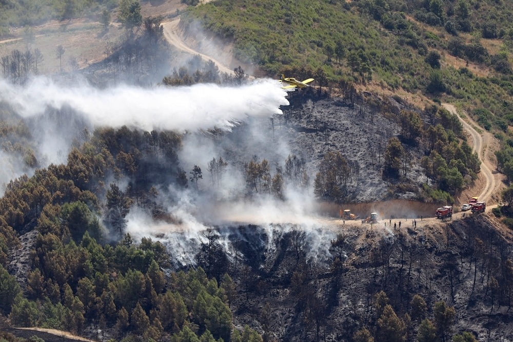 Aircraft Acquisition Enhances Algerian Forest Fire Response