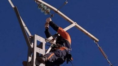 Sonelgaz Initiates Annaba Electrical Network Restoration Post-Wildfires