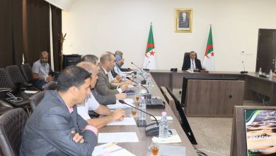 Laghouat-El Meniaa Rail Project Preparations Accelerate