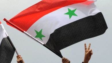 Syria Airstrikes Draw Joint Condemnation From Algeria, Allies