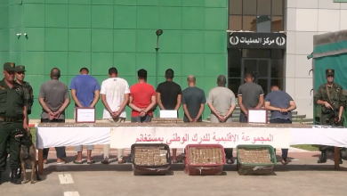 Mostaganem Gendarmerie Seizes 196kg Kif, Halts Global Network