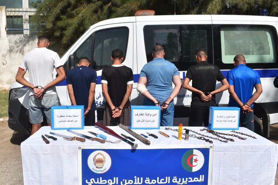 Allo Shorta App Enhances Public Safety Reporting